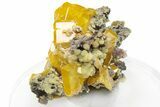 Orange Wulfenite and Botryoidal Mimetite - La Morita Mine, Mexico #225402-1